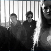 Bay Laurel - List pictures