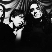 Breathless - List pictures