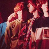 Inspiral Carpets - List pictures