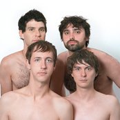 Animal Collective - List pictures