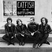 Catfish And The Bottlemen - List pictures