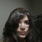 Pollyester - List pictures