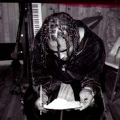 Flesh-n-bone - List pictures