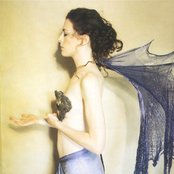 Auf Der Maur - List pictures