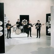 Searchers - List pictures