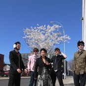 Ava Luna - List pictures