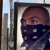 Conejo - List pictures