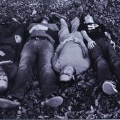 Nadir - List pictures