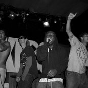 Warm Brew - List pictures