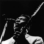 Muddy Waters - List pictures