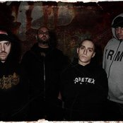 Embrace Destruction - List pictures