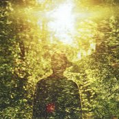 Ducktails - List pictures