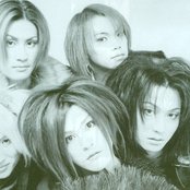 Vivid - List pictures