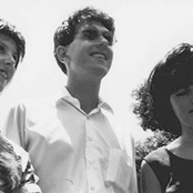 Single Gun Theory - List pictures