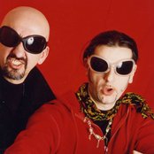 Datura - List pictures