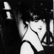 Basia - List pictures