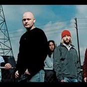 Depswa - List pictures