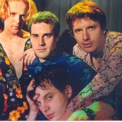 Root 70 - List pictures