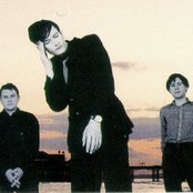 Pulp - List pictures