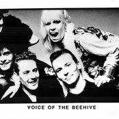 Voice Of The Beehive - List pictures