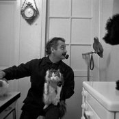 Georges Brassens - List pictures