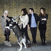 New Young Pony Club - List pictures