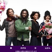 White Ash - List pictures