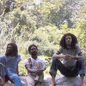 Congos - List pictures