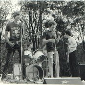 The Panics - List pictures