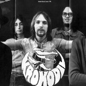 Krokodil - List pictures