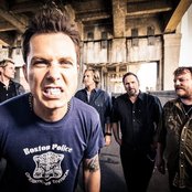 Oleander - List pictures