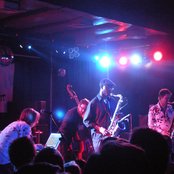 Polar Bear - List pictures