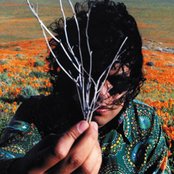 Nobody - List pictures