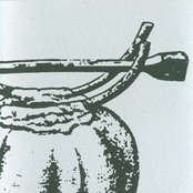 Miracle - List pictures