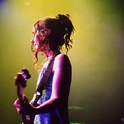 The Cranes - List pictures