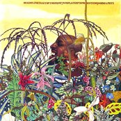 Yusef Lateef - List pictures