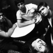 Eves Plum - List pictures