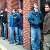 Distorted Penguins - List pictures