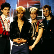 Blue Zoo - List pictures