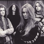 Acrostichon - List pictures