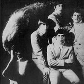 Tommy James And The Shondells - List pictures