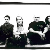 Scheer - List pictures