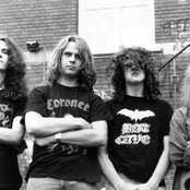 Acrostichon - List pictures