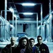 Sub-urban Tribe - List pictures