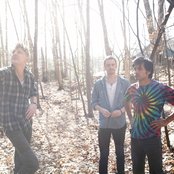 Yeasayer - List pictures