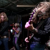 Orchid - List pictures