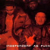 Company Flow - List pictures