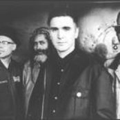 Big Sugar - List pictures