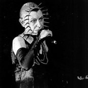 Brigitte Fontaine - List pictures