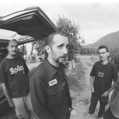 Wood - List pictures